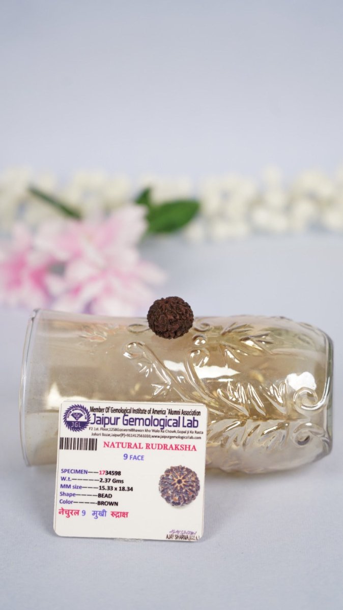 Nava Mukhi Rudraksha – Goddess Durga Energy Bead - Agamadhara